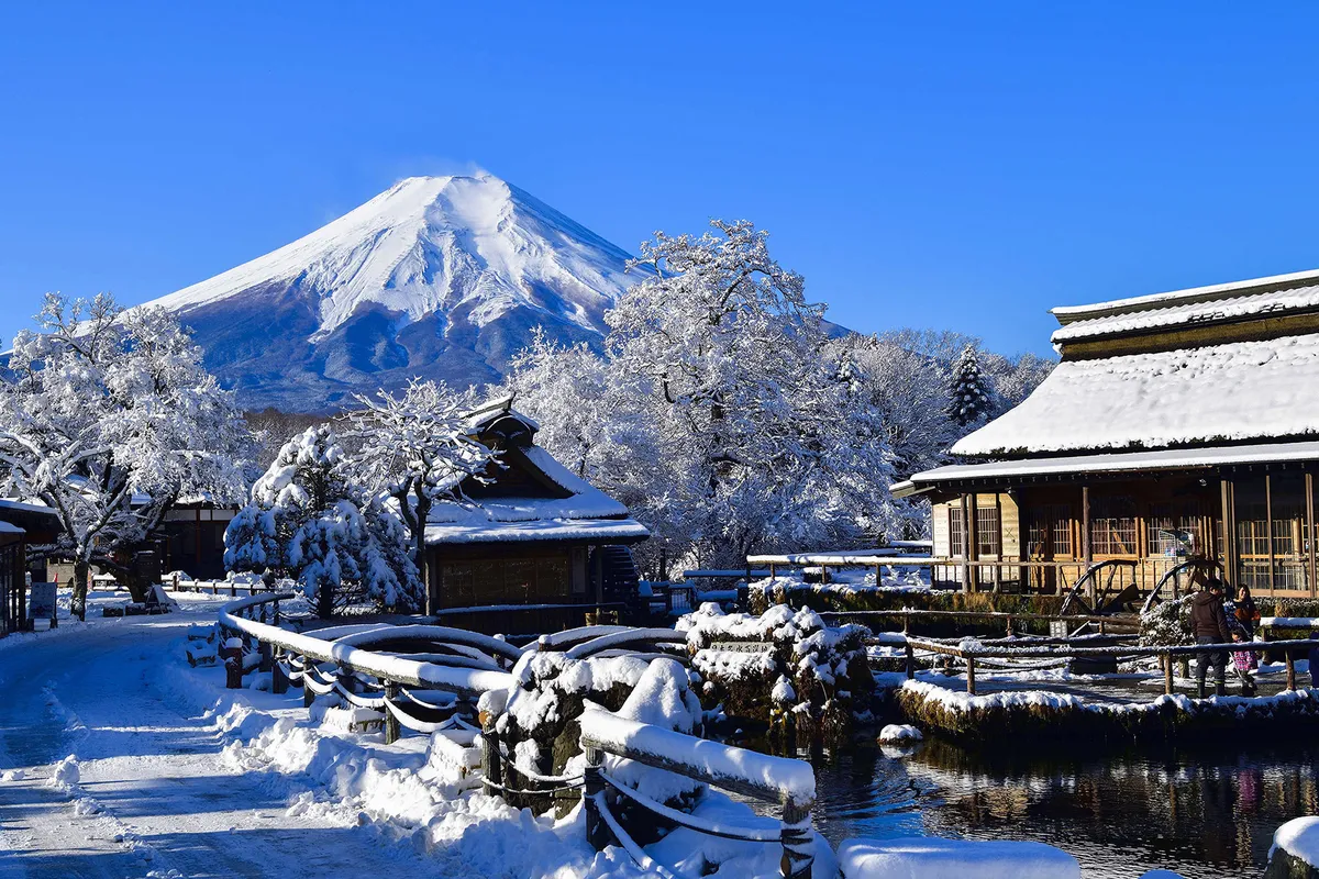 Mount Fuji Magic: An Unforgettable Family Day Trip to Japan's Iconic Peak
