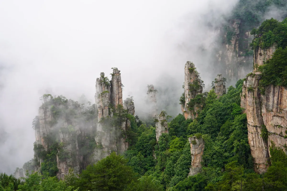 Walking Among Giants: My Spontaneous Trek Through Zhangjiajie National Forest Park