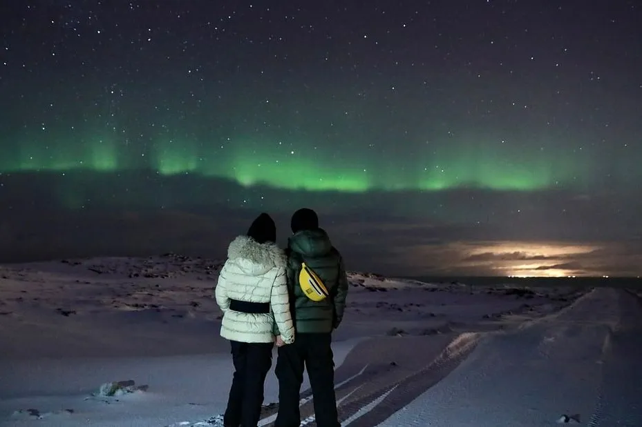 Chasing the Aurora: Why This Northern Lights Bus Tour is a Must-Do in Iceland
