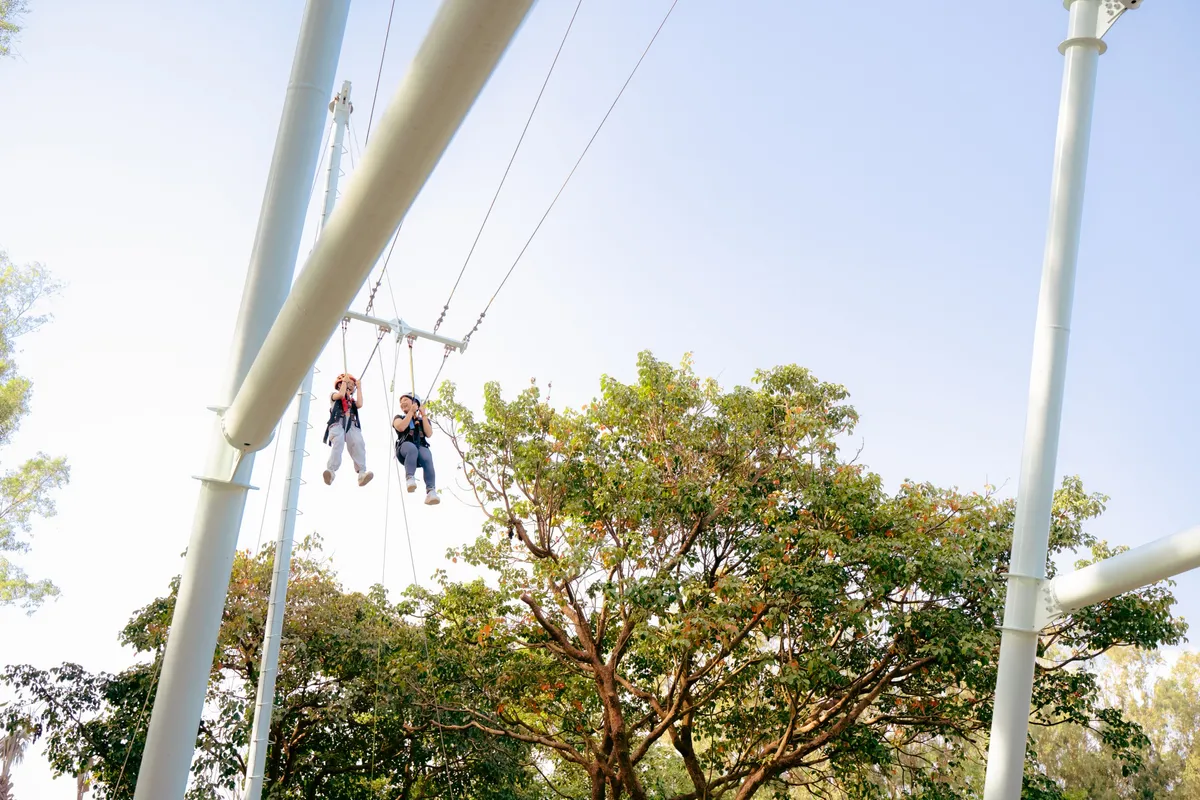 Unleash the Fun: A Family Review of Chiayi's Meimea Shangshu Cute Pet Paradise!