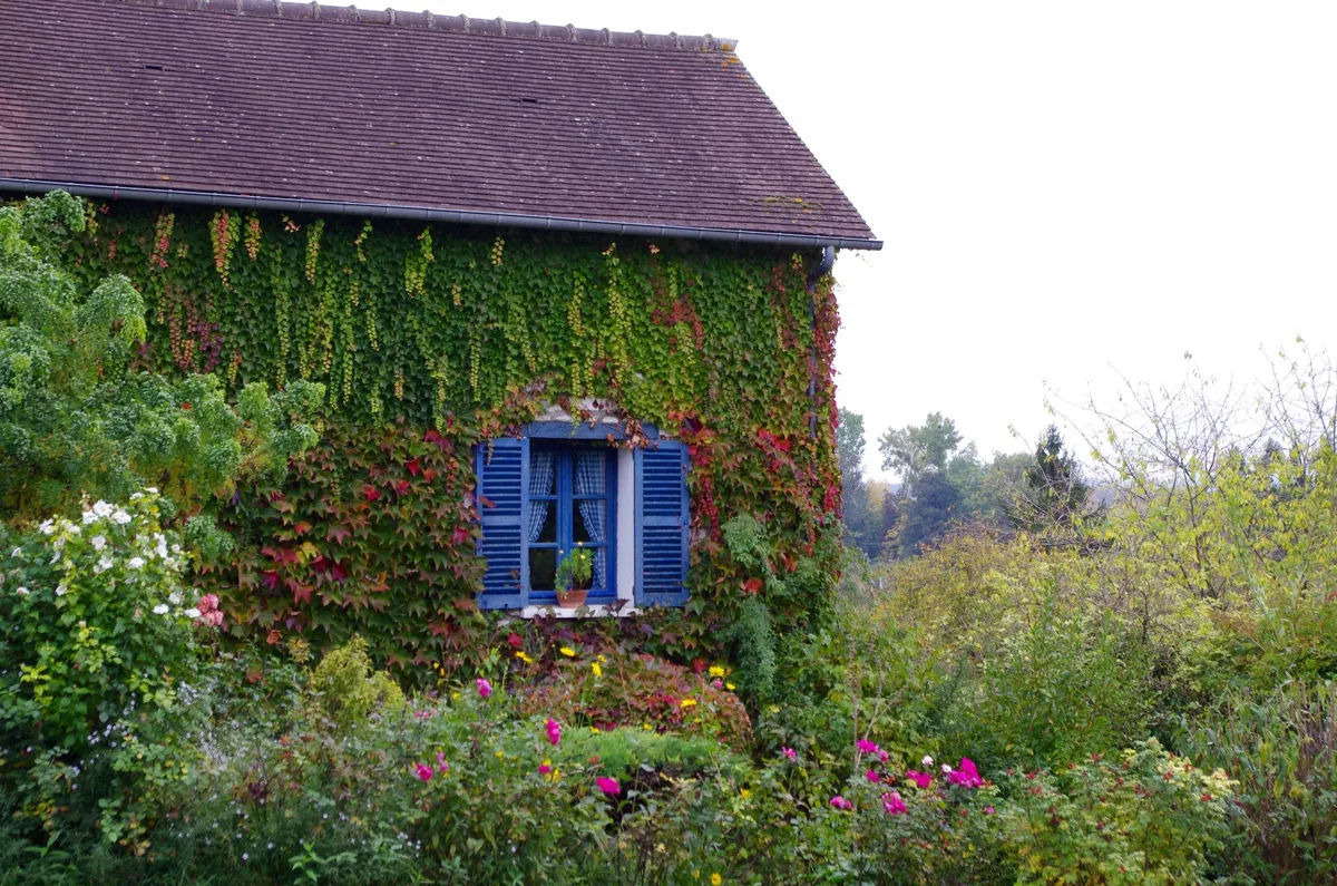 Entrando en una pintura: Mi escapada espontánea a los Jardines de Monet en Giverny