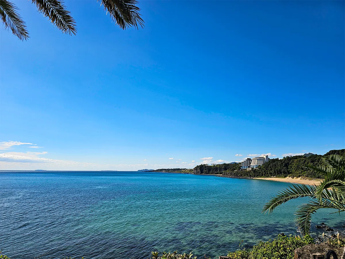 Jeju Island Magic: From Electric Blue Hydrangeas to Snowy Mandarin Orchards