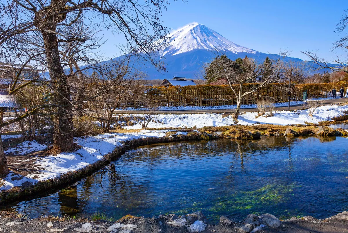 忍野八海の湧水は富士山の雪解け水から来ており、鏡のように澄んでいます～