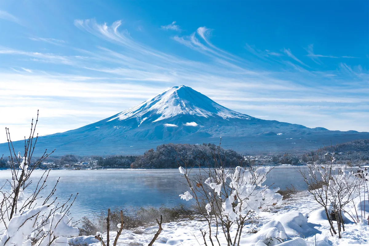 大師公園の冬の雪景色は、純粋で穏やかです～