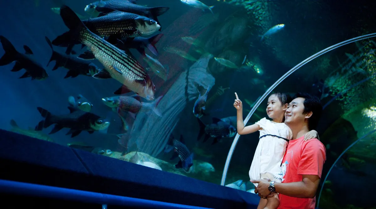 Deep Dive into Adventure: My Unfiltered Take on Underwater World Pattaya!