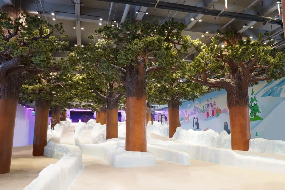 Ice and Snow Sports City