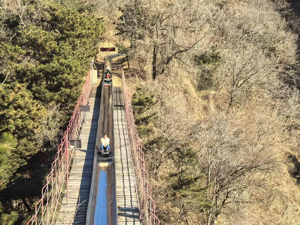 After your 1-2 hour exploration of the Great Wall, you can pick your ideal way down: take the cable car or ski lift for a smooth descent, or opt for the thrilling toboggan ride to add a fun, memorable twist to your return to the ground(May have queues)