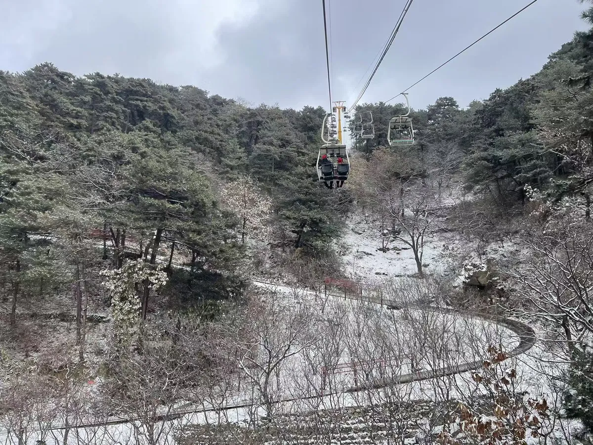 您可以选择往返缆车，或体验刺激的索道上山、滑道下山。缆车提供平稳且风景优美的登山体验，而索道配合滑道下山则为您的体验增添了趣味元素。