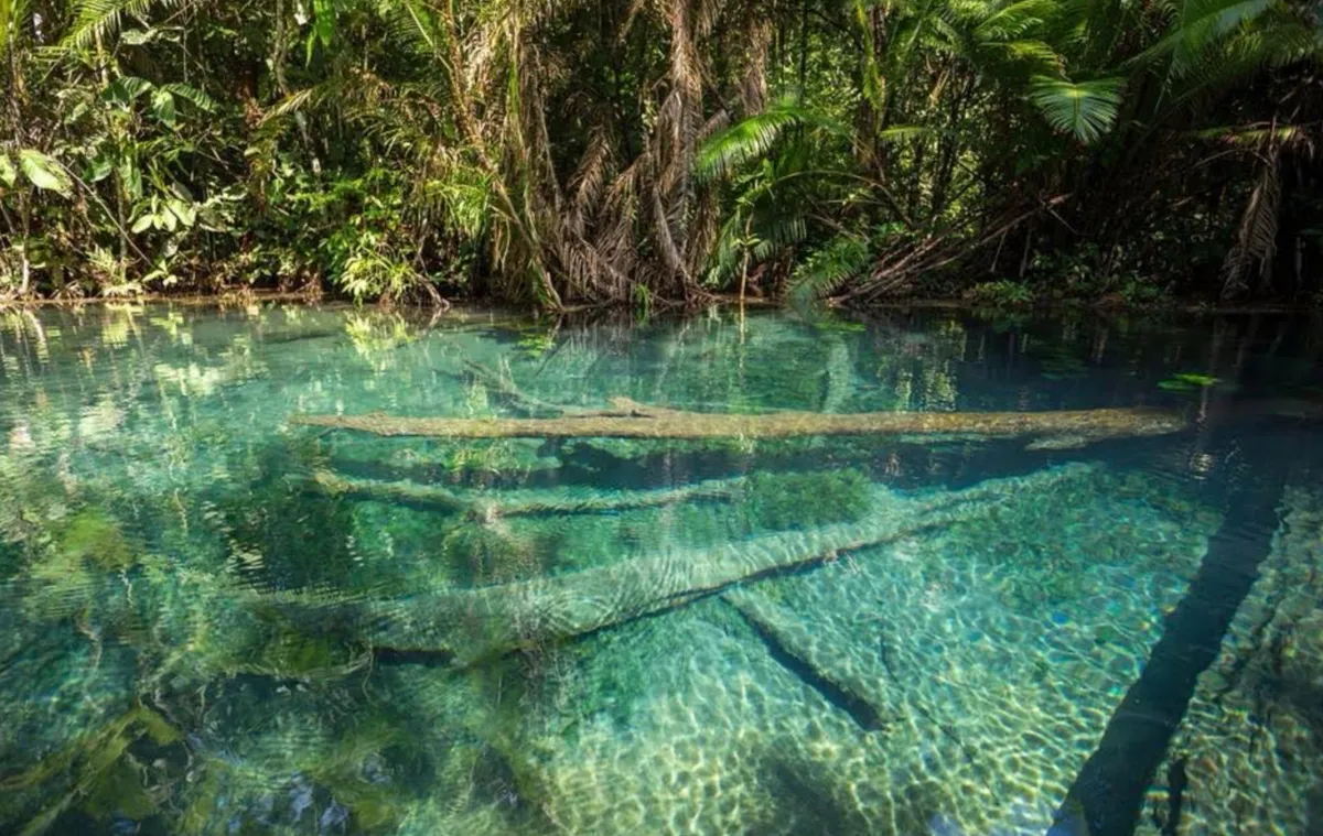 Remando por el Paraíso: Una reseña honesta del combo de kayak y ATV en el Lago Secreto de Krabi