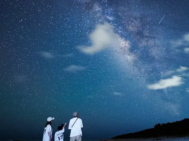 Stargazing and Giant Crabs: An Honest Review of Ishigaki’s Night Jungle Tour