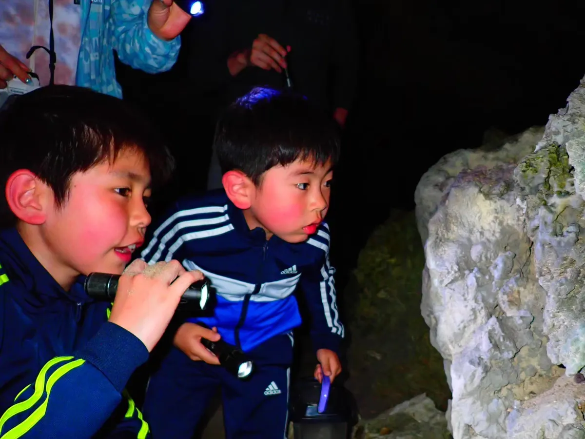 Île d'Ishigaki : Observation des étoiles et tour nocturne de la jungle (Okinawa)