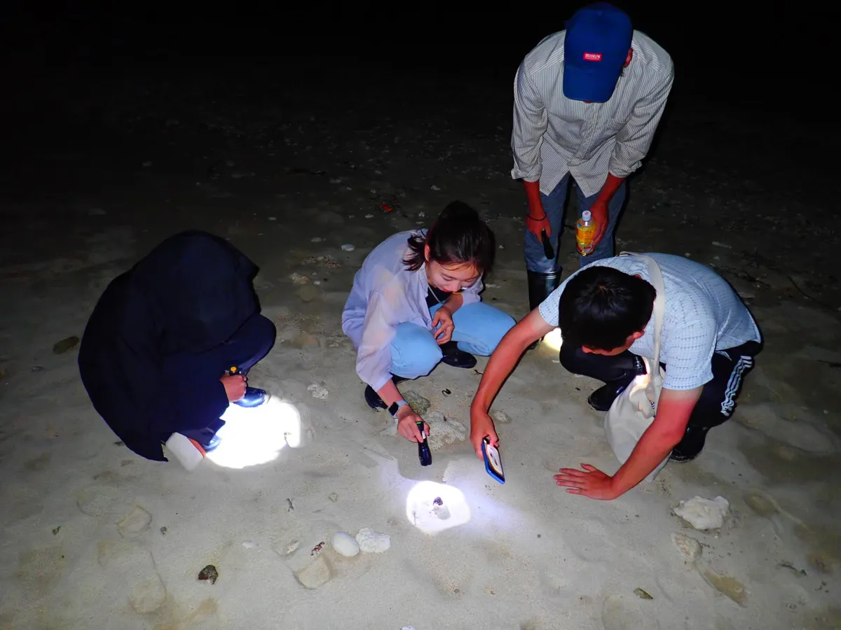 Île d'Ishigaki : Observation des étoiles et tour nocturne de la jungle (Okinawa)