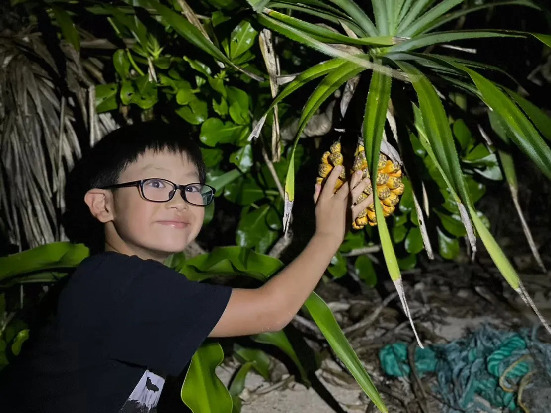Île d'Ishigaki : Observation des étoiles et tour nocturne de la jungle (Okinawa)