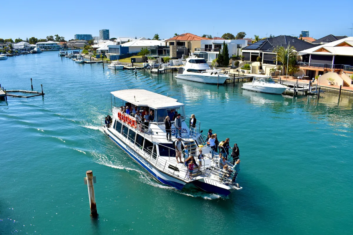 Wilde Wasserwege: Warum diese Mandurah-Delfinfahrt Perths bestgehütetes Geheimnis ist