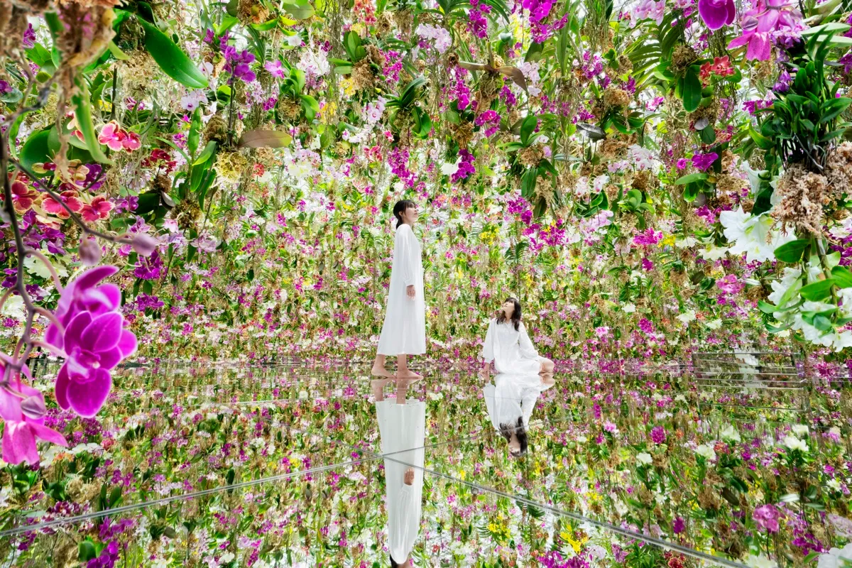 The Ultimate Hack for teamLab Planets: Why the Ginza Shuttle is a Game Changer