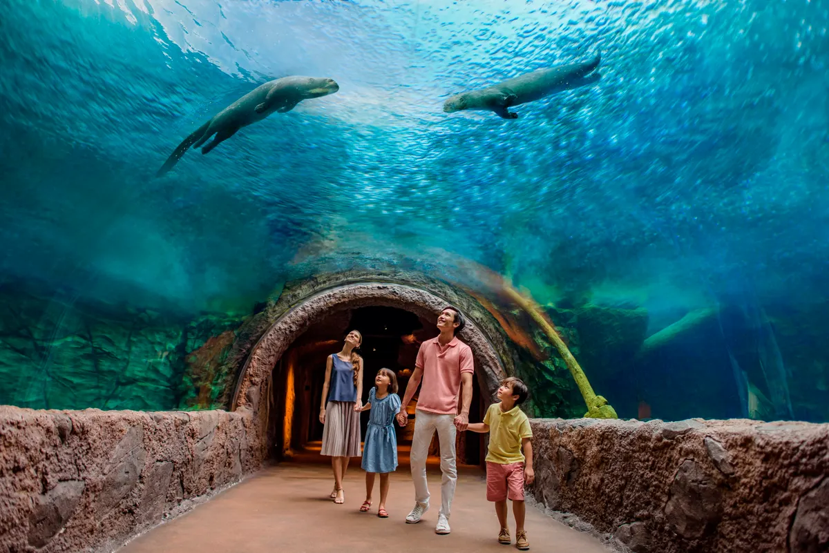 Liberte Seu Explorador Interior: Um Mergulho Emocionante no River Wonders de Singapura!