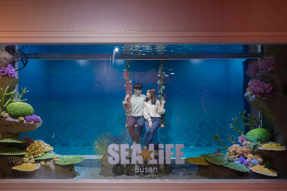 Entfesseln Sie Ihren inneren Entdecker: Busans SEA LIFE & Brickman — Eine doppelte Dosis Großartigkeit!