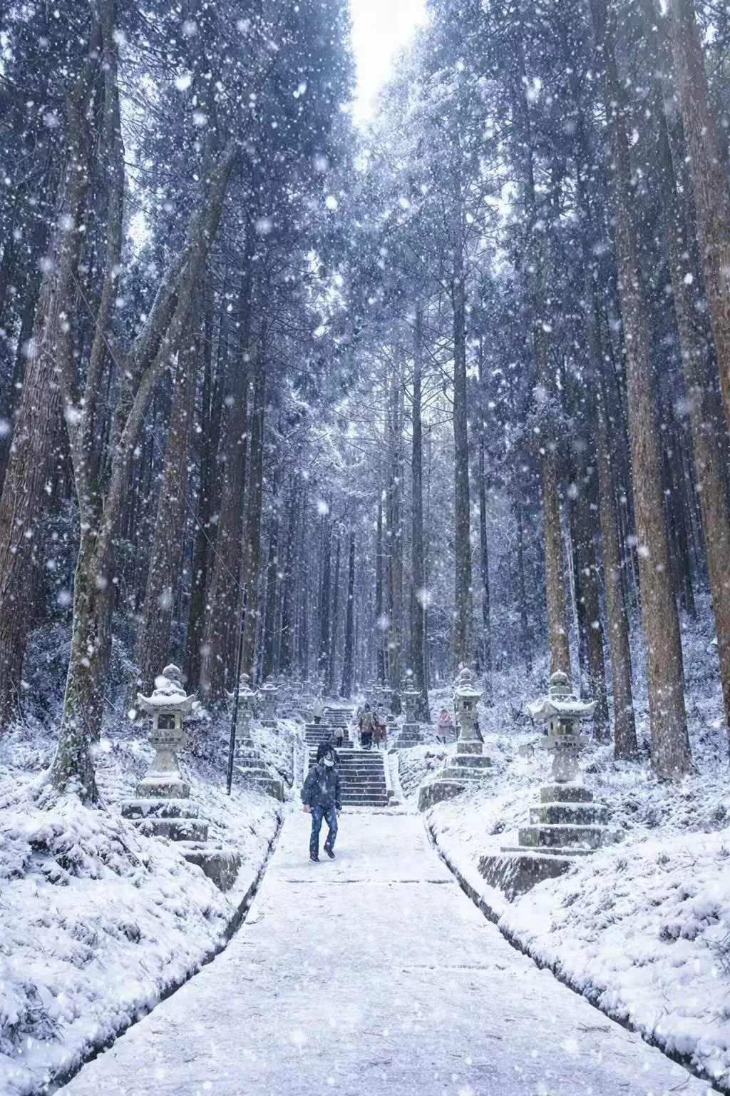 Kyushu's Hidden Treasures: A Family-Friendly Journey Through Mt. Aso, Takachiho Gorge & Ancient Legends