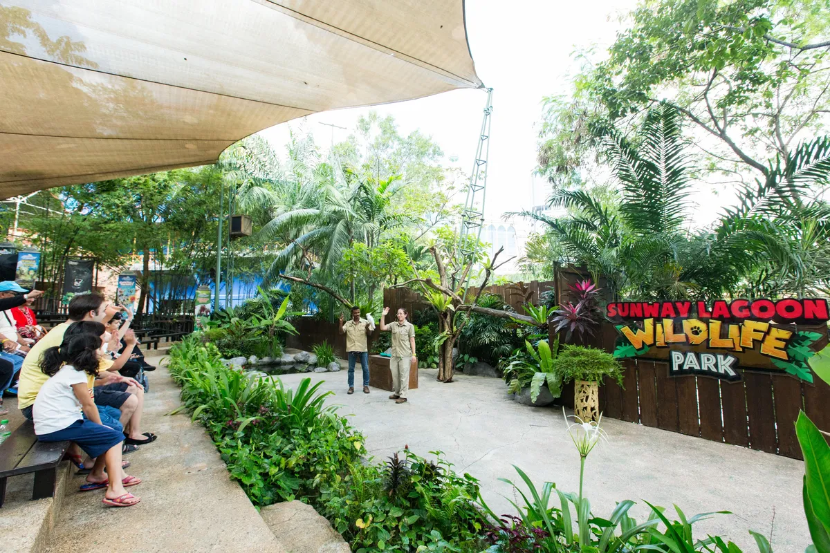 Conheça os animais no Parque de Vida Selvagem de perto e veja-os atuar no Teatro da Vida Selvagem!