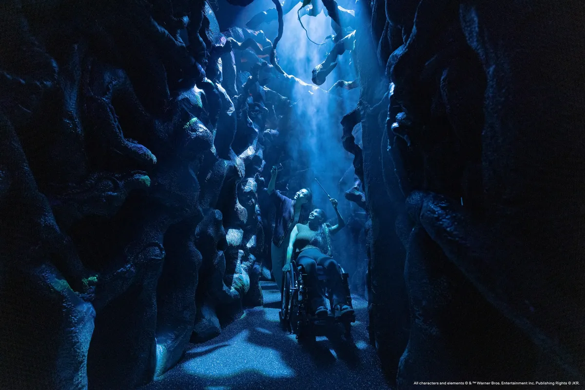 Cửa Sập (The Trap Door): Điều hướng qua một loạt các căn phòng dẫn đến Hòn Đá Phù Thủy (Philosopher's Stone), mỗi căn phòng đều đầy rẫy thử thách và những bí mật ẩn giấu