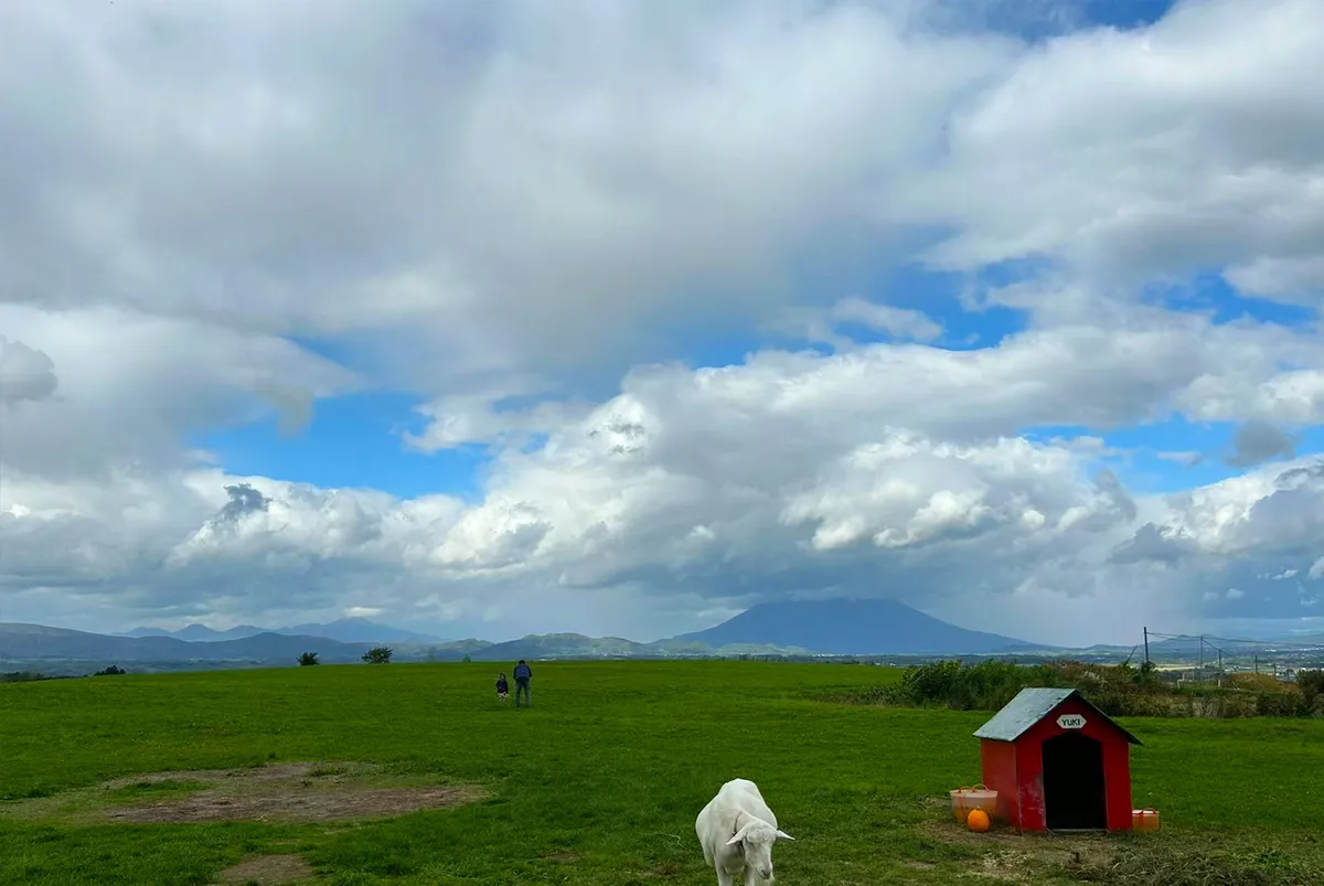Monte Fuji "Monte Yotei
