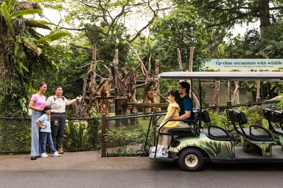 Vé Vườn thú Singapore | Khu bảo tồn Động vật hoang dã Mandai, Singapore