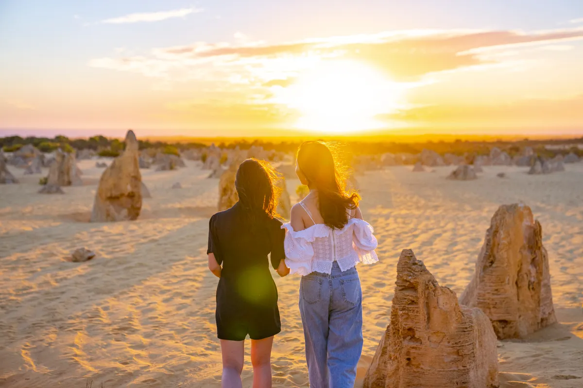 Aprecie a maravilha da Hora Dourada no Deserto dos Pinnacles