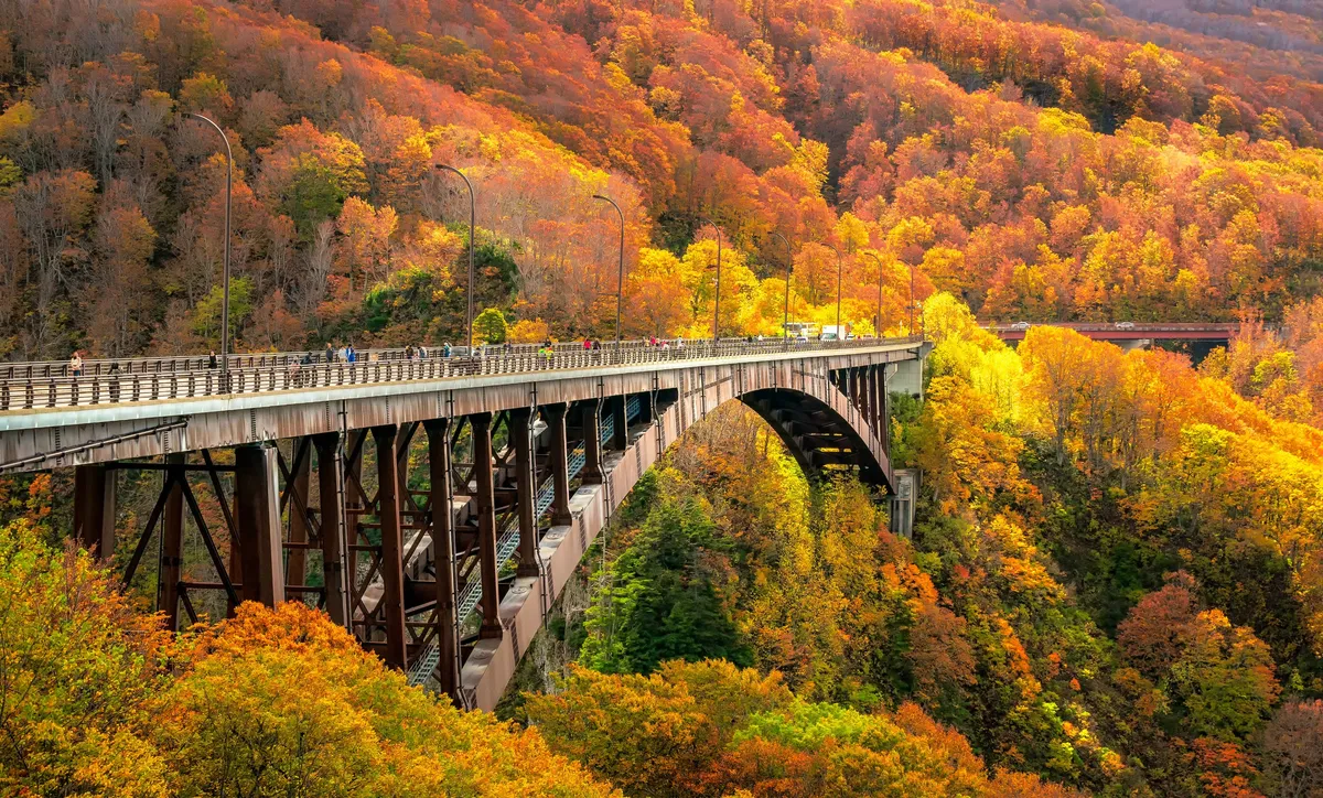 Malerische Jogakura-Brücke in der Präfektur Aomori, umgeben von leuchtendem Herbstlaub