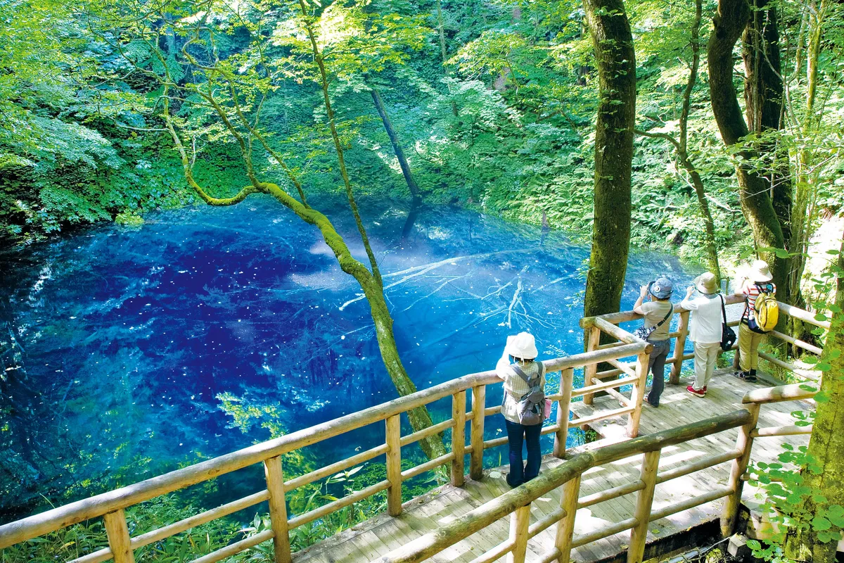 Aoike ist ein natürlicher Pool, berühmt für sein kristallklares Wasser, umgeben von Waldwegen, die zu nahegelegenen Seen und einem Campingplatz führen