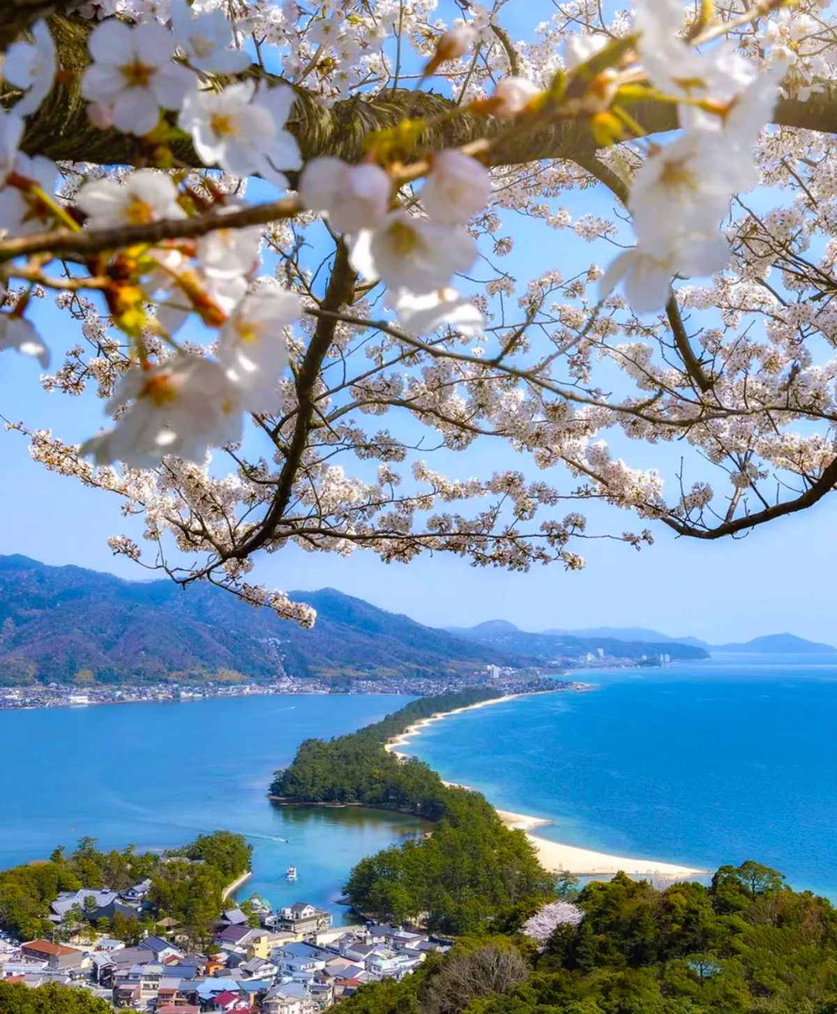 Unveiling Kyoto's Hidden Gems: An Unforgettable Day Trip to Amanohashidate, Miyama & Ine Funaya!