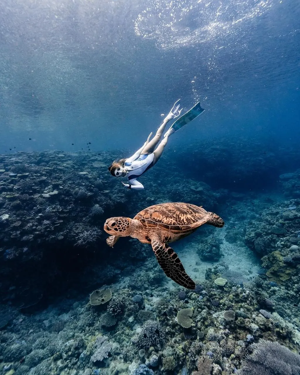 Have a fun snorkeling experience with boat that is equipped with safety!