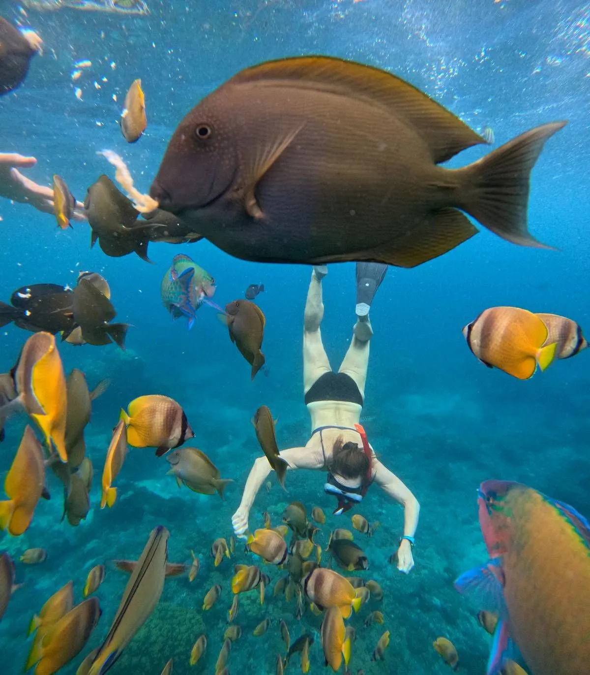 Witness plenty of tropical fish and colourful coral as you swim in the clear waters
