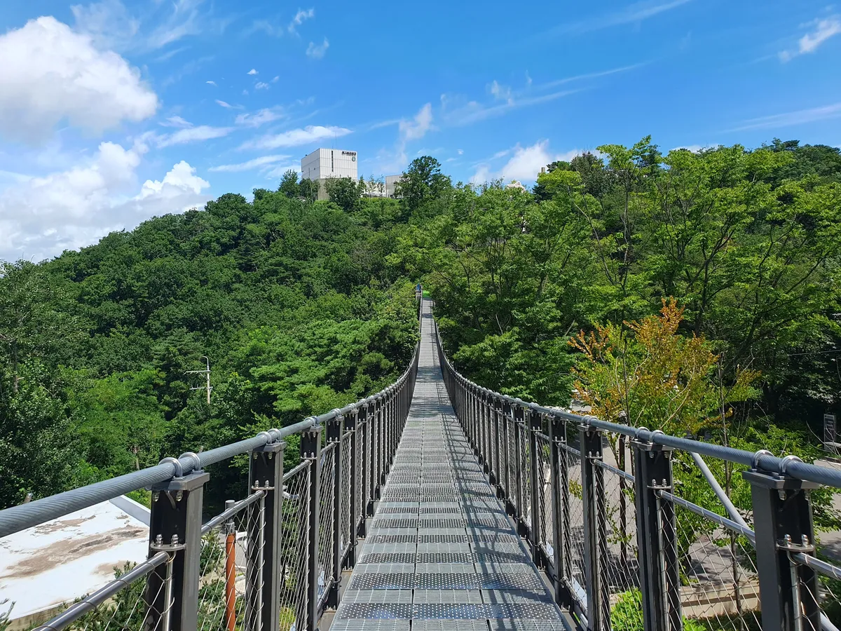 京畿道金浦市の愛妓峰平和エコパーク内にある愛妓峰吊り橋は、平和と南北統一への願いを象徴する感動的なスポットです。