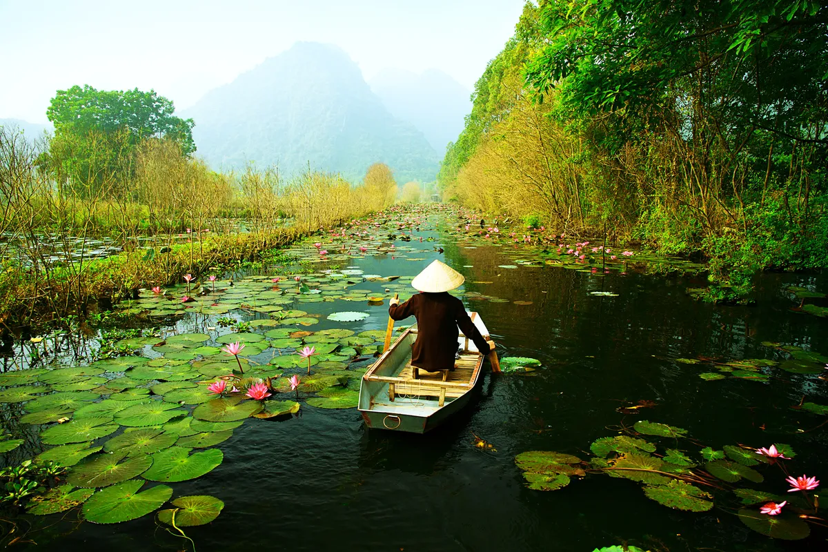 Ninh Binh Day Tour Review: Unforgettable Family Adventures in Vietnam's 'Halong Bay on Land'