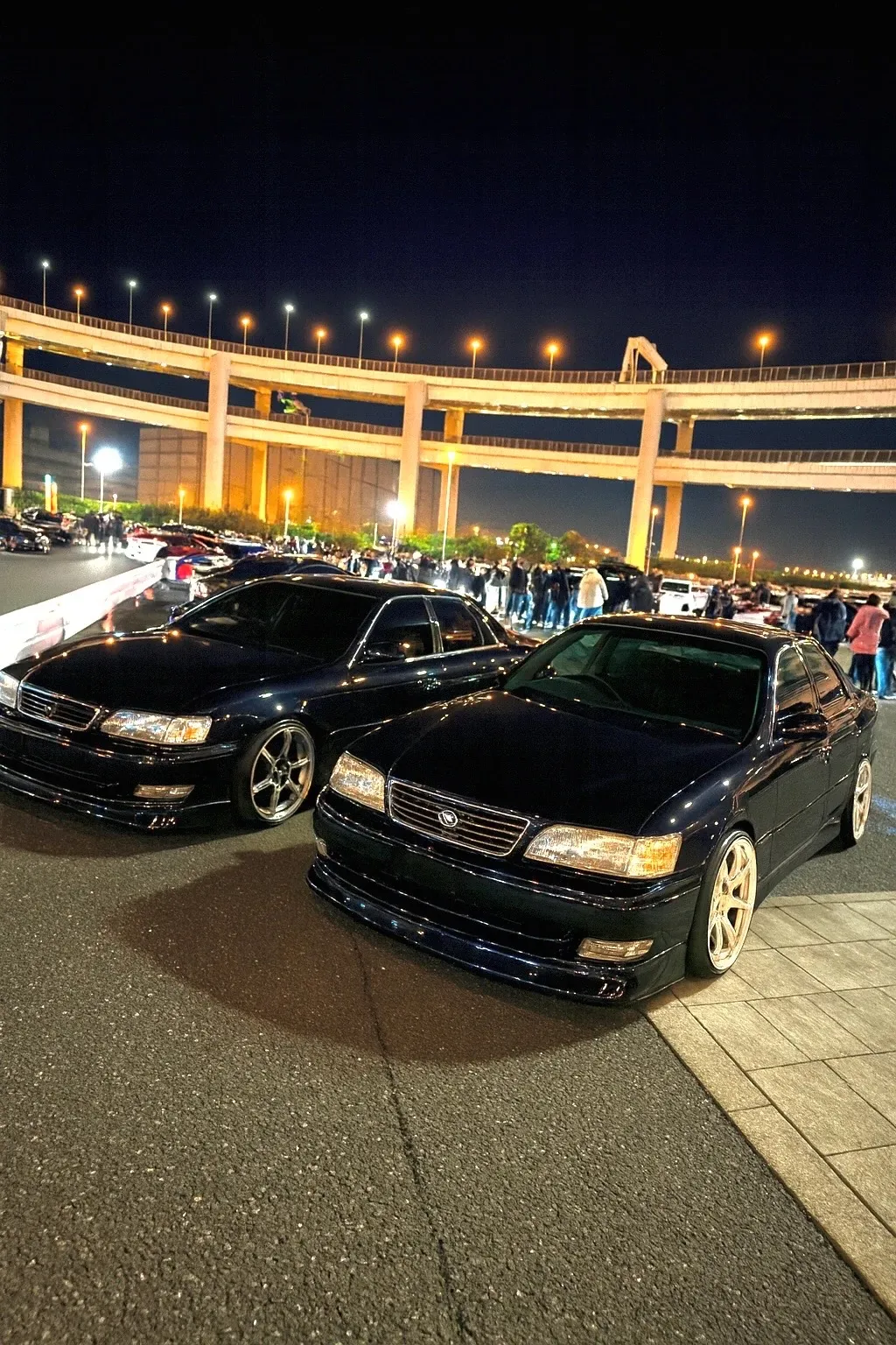 Tokyo Daikoku & Rainbow Bridge Half-Day Tour with Car Parts Store