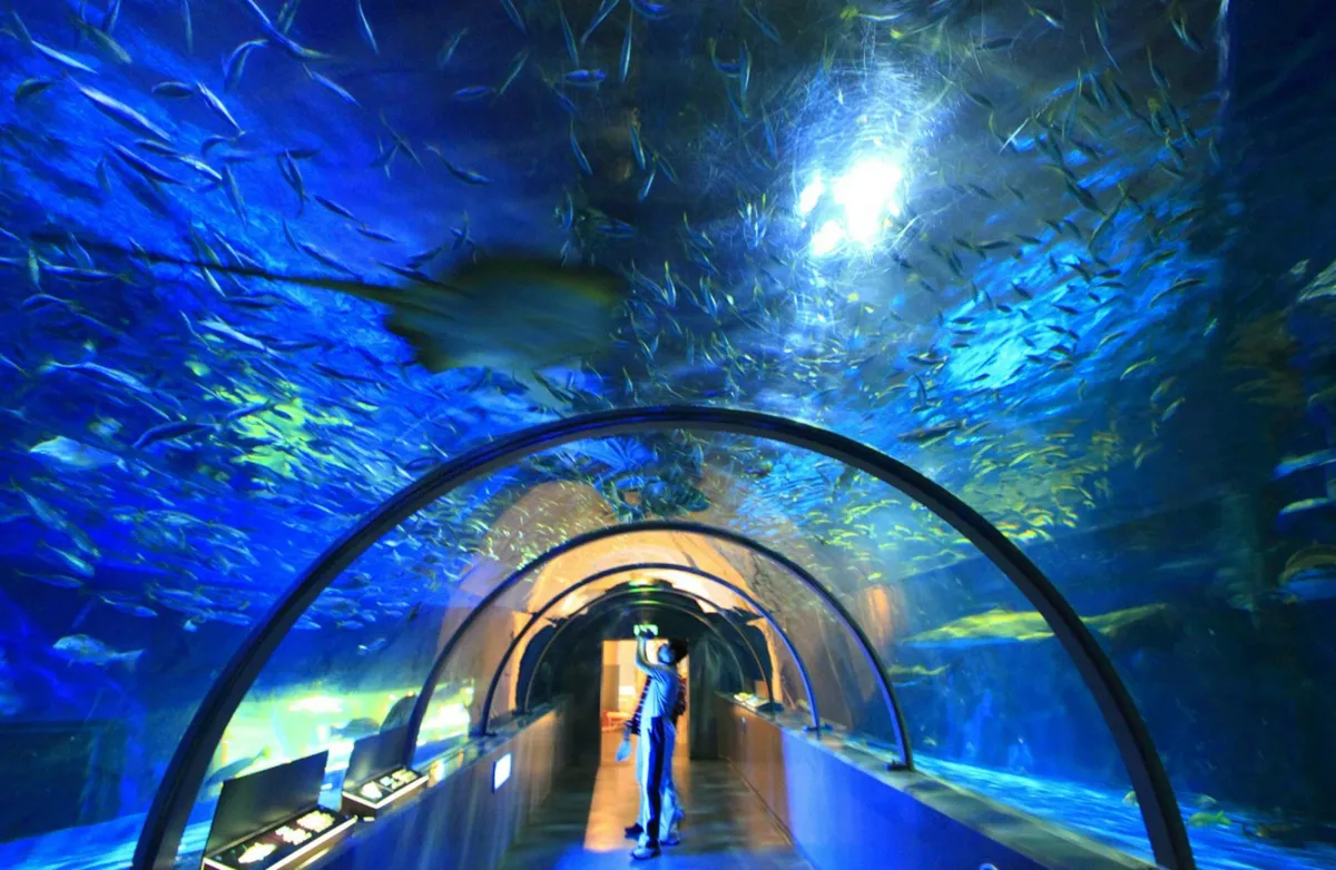 A Fairy Tale Underwater: My Unforgettable Day at Noboribetsu Marine Park Nixe