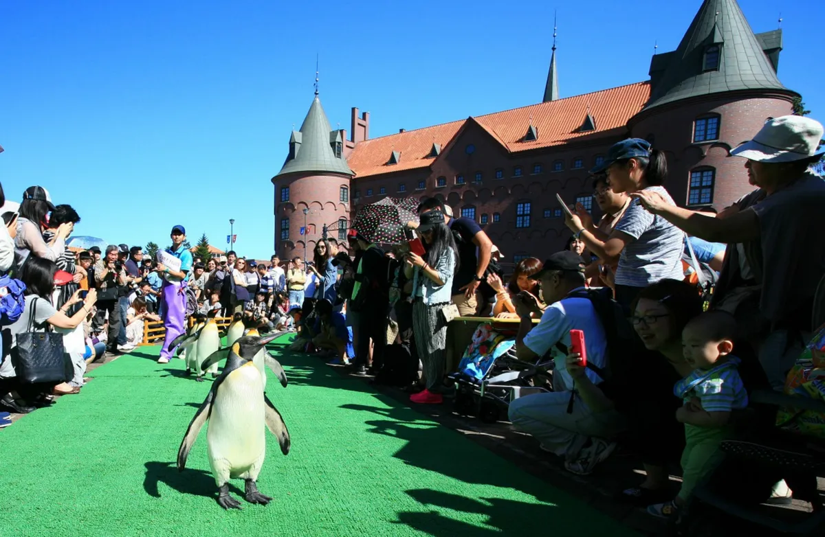 ¡No te pierdas a los adorables pingüinos caminando por el parque en el Desfile de Pingüinos!