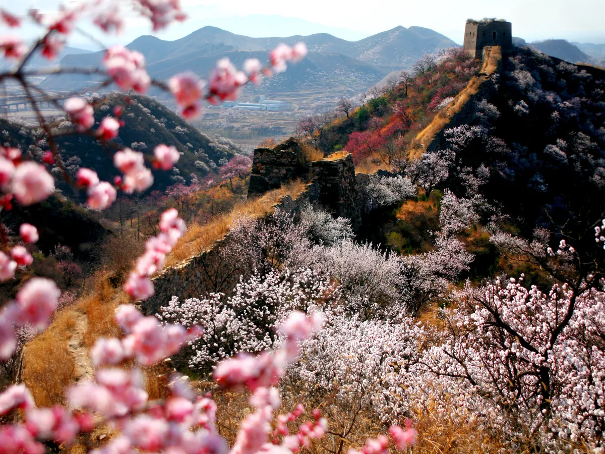 Mutianyu Great Wall Day Tour: Conquer the Dragon, Your Way!