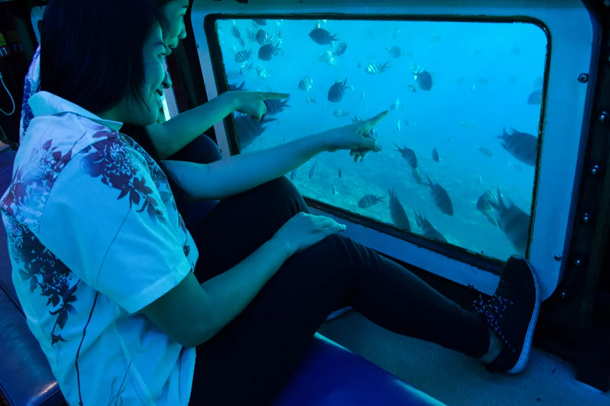Dive Deep (Without Getting Wet!): Our Family Review of Okinawa's ORCA Glass Bottom Boat Tour