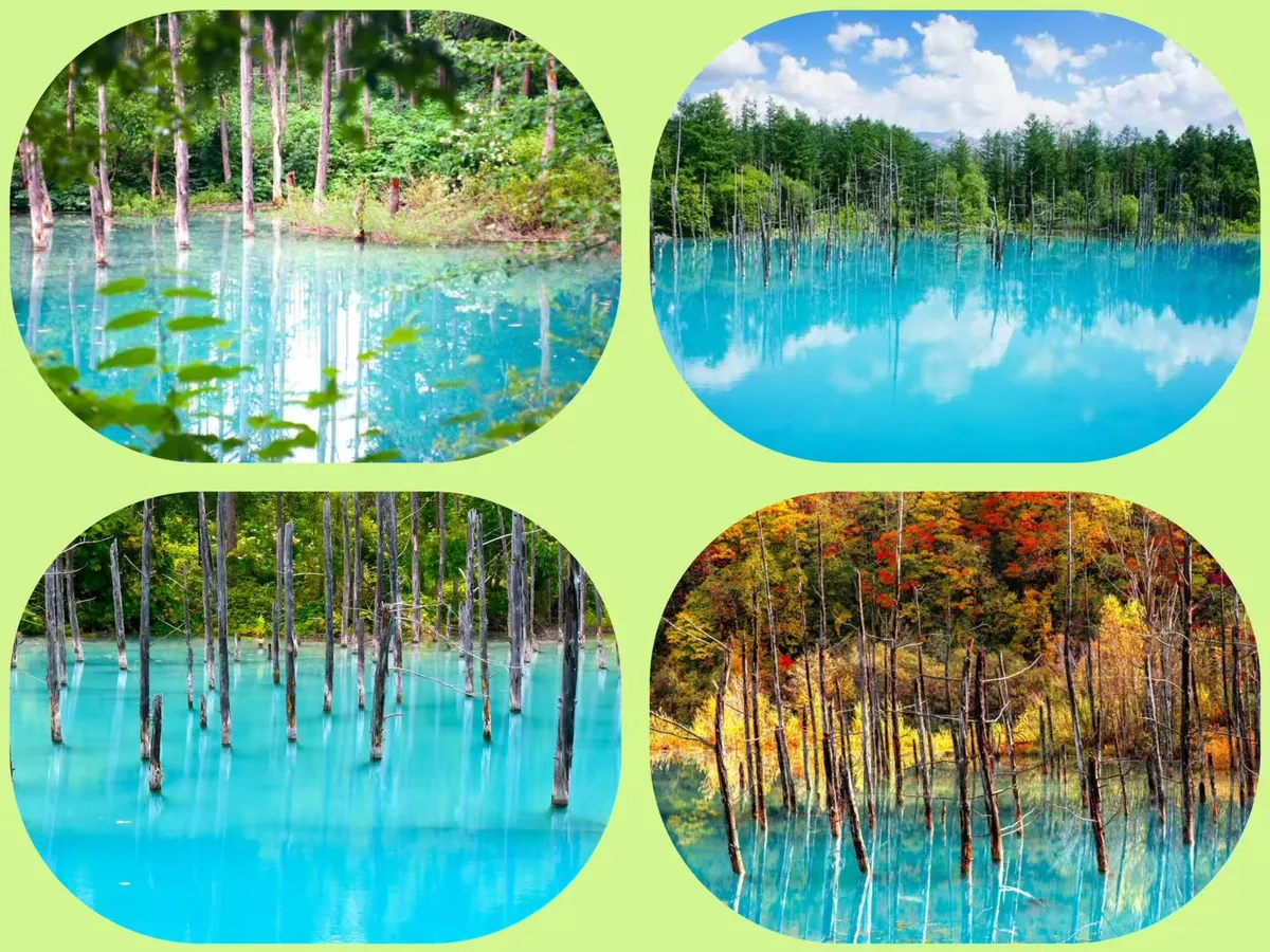 ✧⁺Blauer Teich, eine sanfte Brise streicht über die Wasseroberfläche, spiegelt die still stehenden toten Bäume und die Schatten der Wolken am Himmel wider~