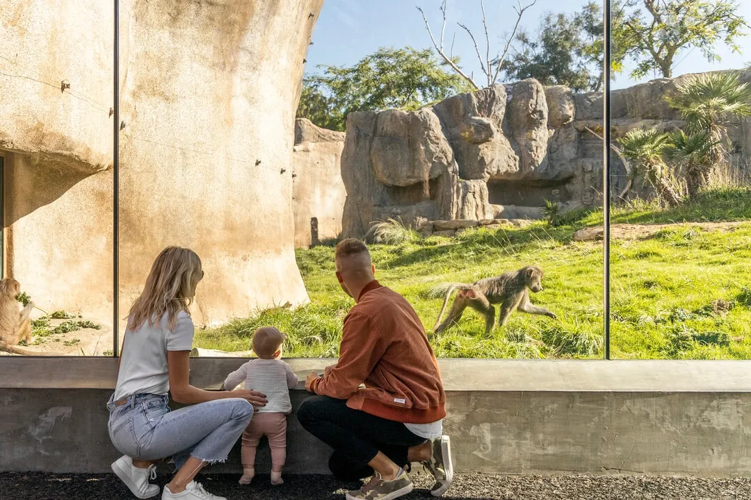サンディエゴ動物園への家族旅行で、自然の素晴らしい創造物たちを目の当たりにする