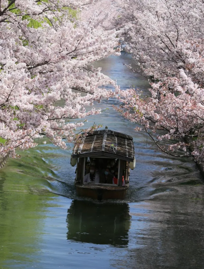 Die Fushimi-Kanal-Bootsfahrt in Kyoto: Machen Sie eine Fahrt auf diesem Kanal und erleben Sie die nostalgische lokale Szenerie.