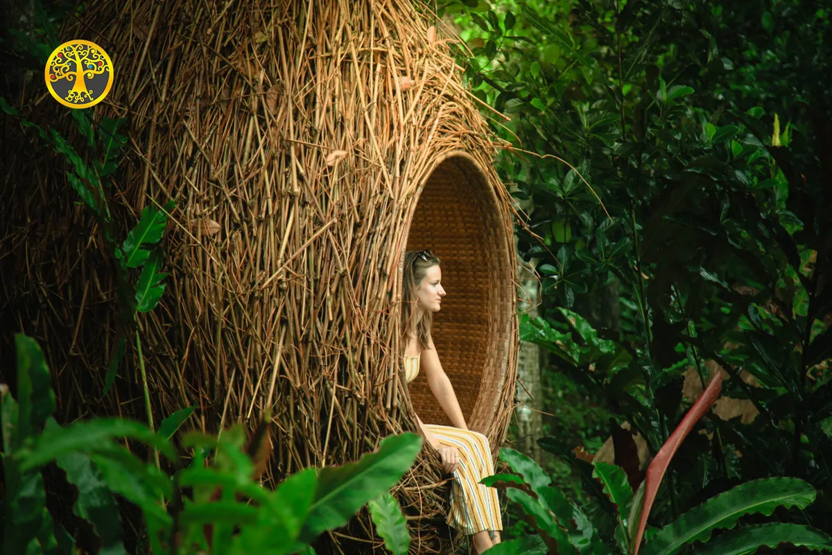 Revel in the peaceful scenery as you watch the thick mangroves in Bali's famous coffee plantation