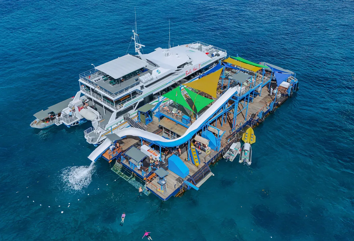 Island Hopping with the Family: A Deep Dive into the Bali Hai Reef Cruise Experience