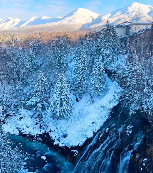 Sapporo Asahiyama Zoo & Shirasu Waterfall Full-Day Tour