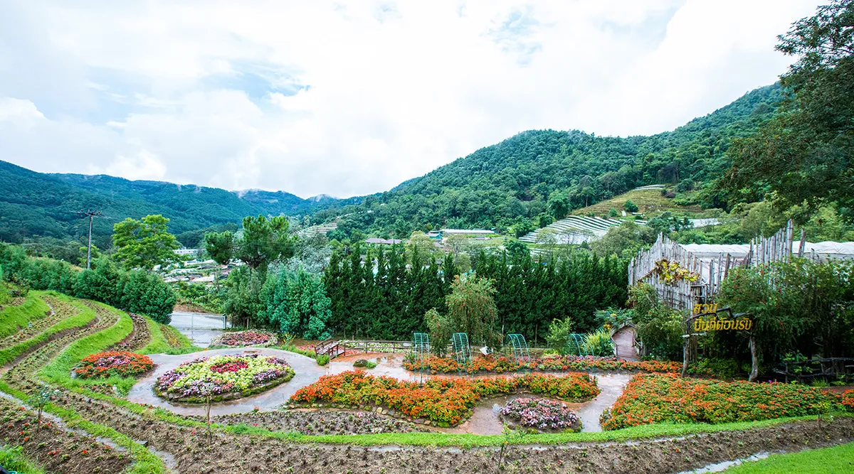 Chasing Waterfalls and High Peaks: My Wild Day at Doi Inthanon
