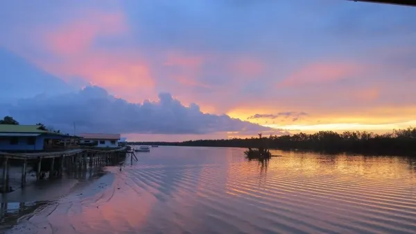 Wild Borneo: Why the Weston Wetlands Cruise is the Ultimate Jungle Escape