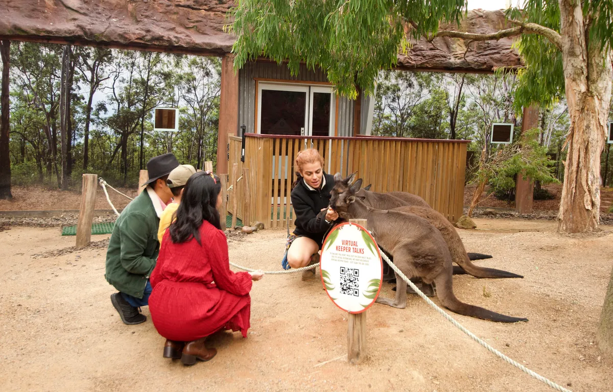 WILD LIFE Sydney Zoo Review: An Affordable Aussie Animal Encounter in the Heart of the CBD