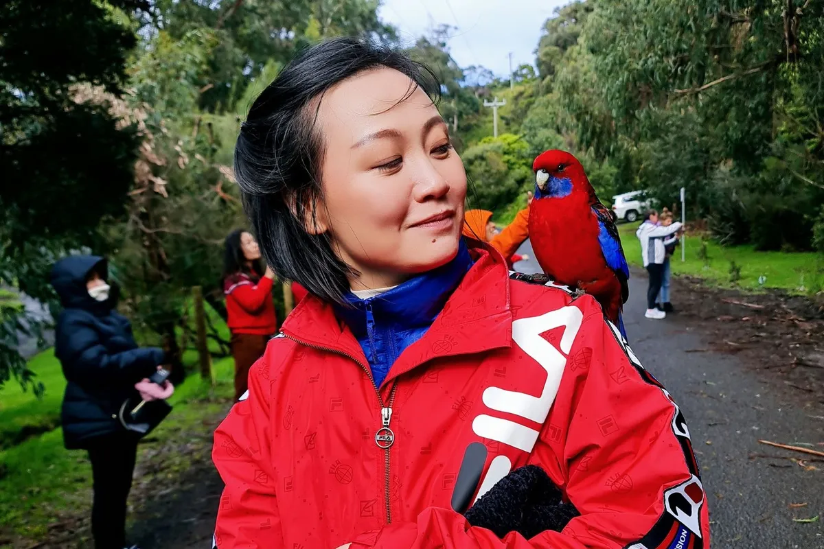 Up close with nature! Experience vibrant encounters with Australia's friendly wildlife