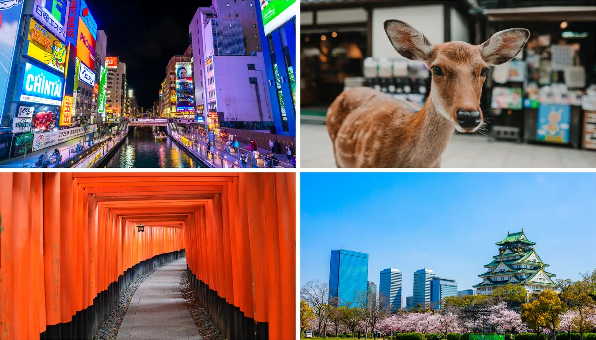 Transfert aéroport facile vers des destinations phares comme Osaka, Kyoto, Kobe, Nara, USJ, et plus encore
